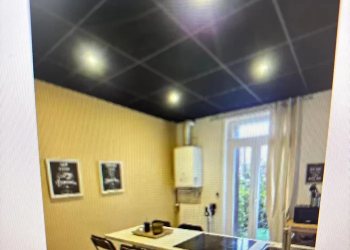 F3 Centre Proche Tram Jardin Lecoq Clermont-Ferrand