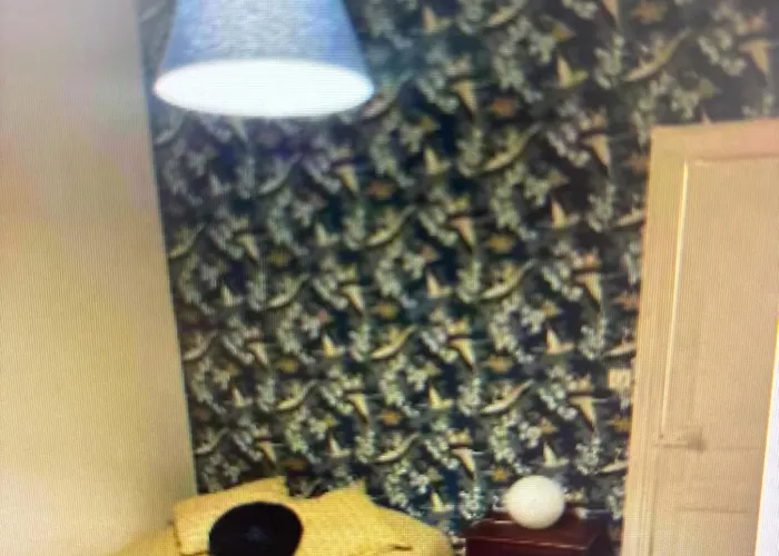 Apartment F3 Centre Proche Tram Jardin Lecoq