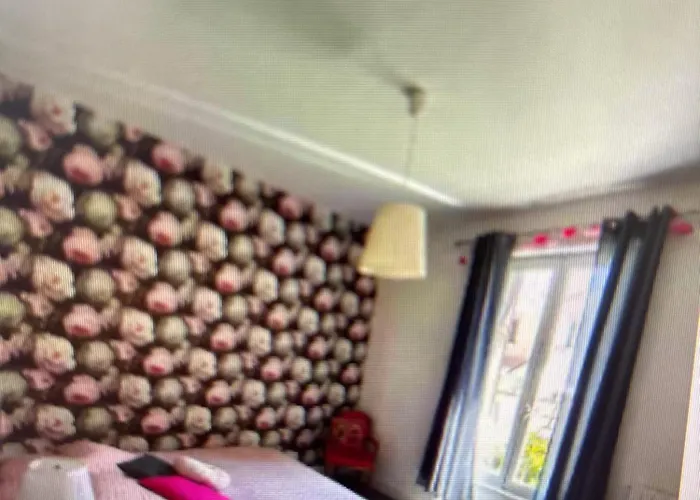 Apartamento F3 Centre Proche Tram Jardin Lecoq Clermont-Ferrand